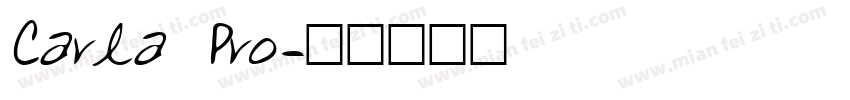 Carla Pro字体转换